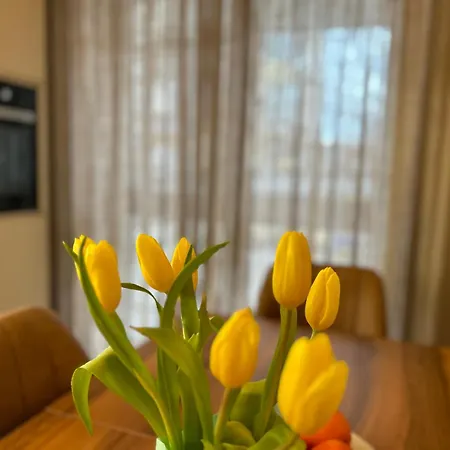 Appartamento Spacious Fancy